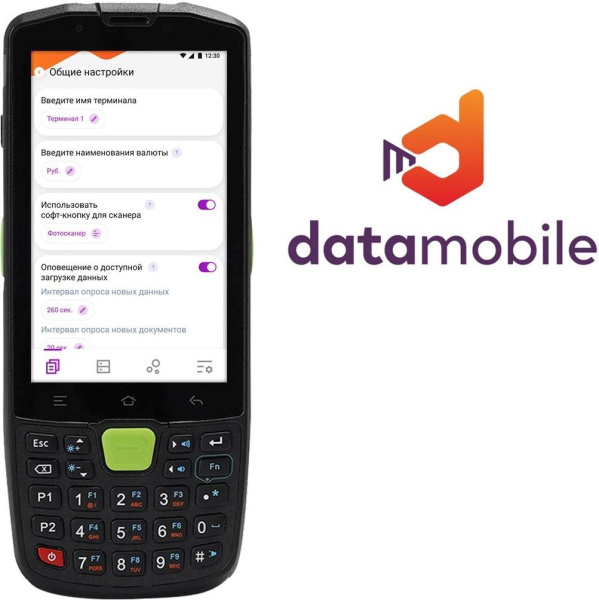 Неискл. право на исп-ие ПО DataMobile версия Online LifeTime (DMONLINE)